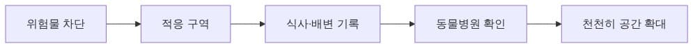 입양 준비 순서