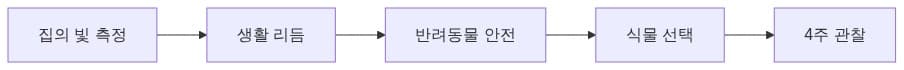 반려식물 선택 순서