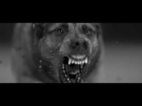 NCT WISH 대표 이미지