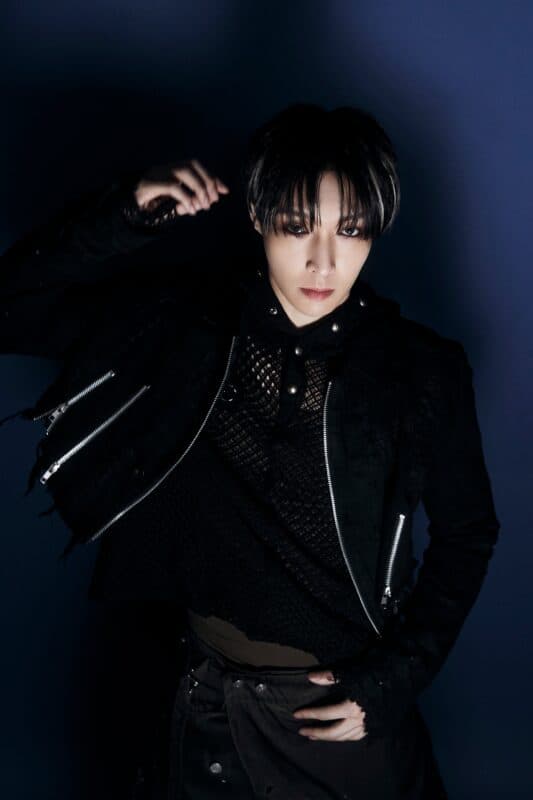 LAY profile